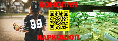 шишки Сланцы